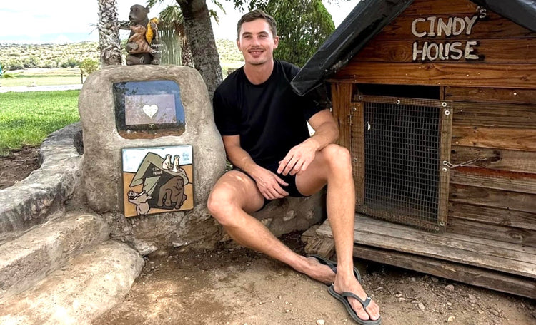 The Cindy Memorial Collection
